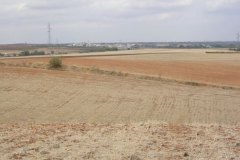 Albuera