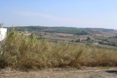 British Position at Vimeiro